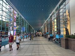-小大董·烤鸭(观景餐厅·南京西路店)
