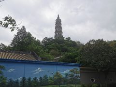 -顺峰山公园