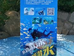 -秦皇岛乐岛海洋王国