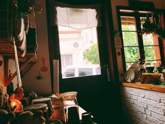 -春风十里咖啡馆