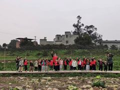 -宾果蒙特梭利托育儿童之家幼儿园(爱琴海店)