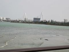 -万绿园