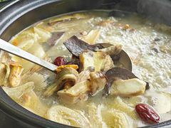 -蘑统田下·野生菌火锅