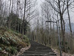 -西岭雪山大飞水景区