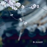 沿着二环走 寻花&问柳