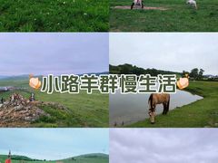 -乌兰布统草原