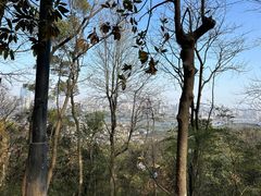 -岳麓山风景名胜区