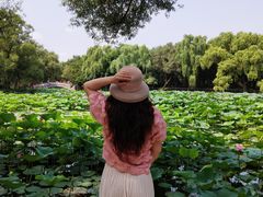 -北陵公园
