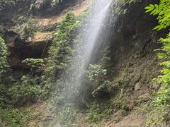 -沐川竹海旅游景区