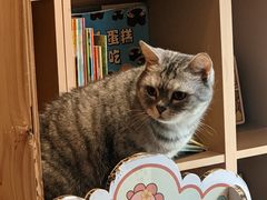 -隅cafe(傅厚岗店)