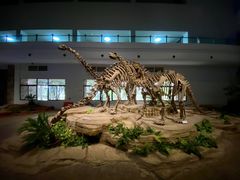 -自贡恐龙博物馆