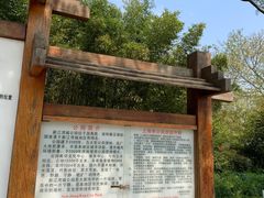 -新江湾城公园