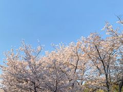 -同济大学四平路校区游泳馆
