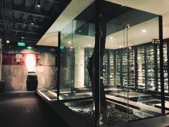 -梧桐