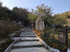 -北京西山国家森林公园