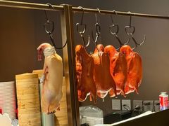-园中园美食城