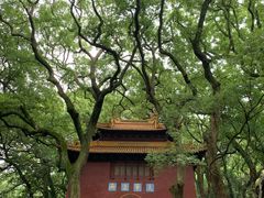 -普陀山风景名胜区-法雨禅寺