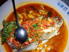 -坛宗剁椒鱼头(河西王府井店)