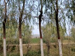-黄河小浪底水利枢纽风景区