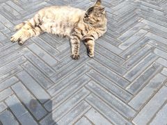 -终南山南五台景区