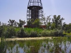 -永定河休闲森林公园