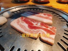 五花肉肉-麻蒲碳烤肉(远景路1号店)