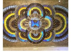 上海昆虫博物馆-上海昆虫博物馆