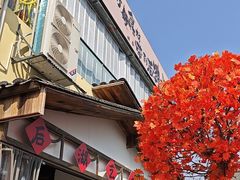 -后湖小院·乡野田园菜