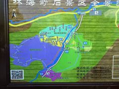 -汤旺河林海奇石景区