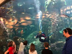 -西雅图水族馆