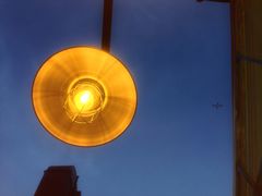 -霸王虾·麻辣小龙虾(清水河公园店)