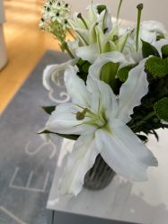 -HEYAN长风荷妍专业脱毛美肤
