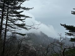 -九华山风景区月身宝殿