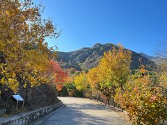 -北京鹫峰国家森林公园