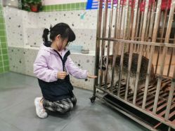 -Moni星球萌宠·小马宝莉·灵蛇·高端高阶全萌宠互动体验俱乐部(红豆国际广场店)