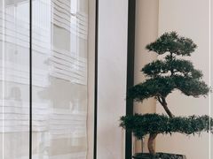 -成都尼依格罗酒店