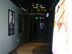 -AMG海上明珠影城(上海环球港RealDCinema店)
