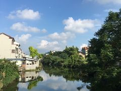 -南汇老顾农家乐采摘大团水蜜桃采摘店