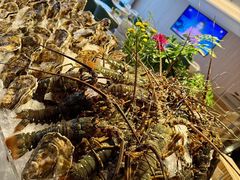 -麓湖国际水疗