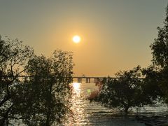 -宝安西湾红树林湿地公园