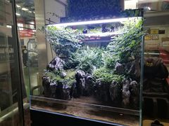 -名骏车业(园区星明店)