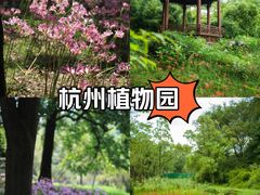 -杭州植物园