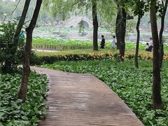 -长春市南湖公园