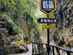-蝶舞清江·恩施地心谷景区