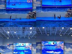 -福州罗源湾海洋世界旅游区