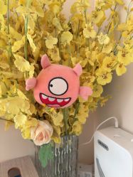 -哈颜科技轻美·