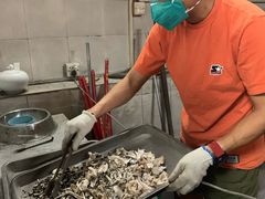 -彩虹桥宠物火化殡葬善终服务(金乐大厦店)