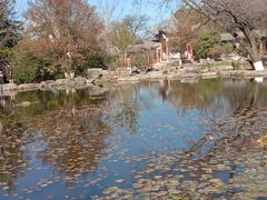 -洱海月湿地公园