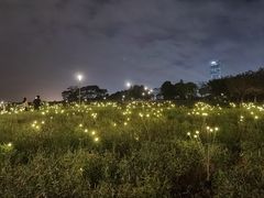 -深圳湾公园(南山区)