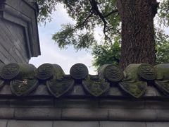 -张学良旧居陈列馆